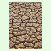 Thirsty Ground cards
