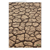 Thirsty Ground cards