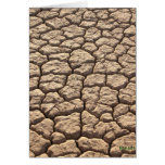 Thirsty Ground cards