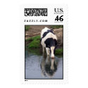 Thirsty postage