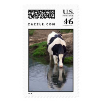 Thirsty postage