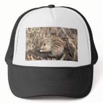 Thirteen Lined Ground squirrel Hat