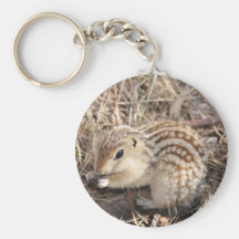Thirteen Lined Ground squirrel Keychain