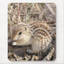 Thirteen Lined Ground squirrel Mouse Mat