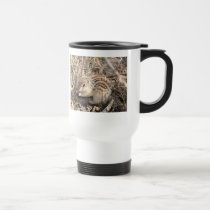 Thirteen Lined Ground squirrel mugs