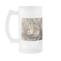 Thirteen Lined Ground squirrel mugs