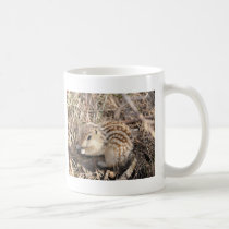Thirteen Lined Ground squirrel mugs
