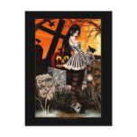 Thirteen Postcards