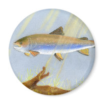 This Award Winning artwork features the Brook Trou Magnet
