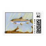 This Award Winning artwork features the Brook Trou Stamp