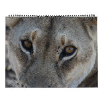 THIS BEAUTIFUL WORLD, 2011 CALENDARS