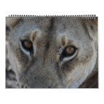 THIS BEAUTIFUL WORLD, 2011 calendars