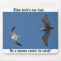 This bird's too fast. mousepads by coachstarkie This bird's too fast. mousepads