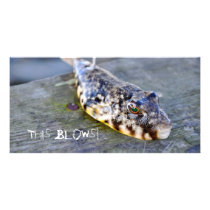 This Blows! Photo Greeting Card