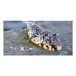This Blows! Photo Greeting Card