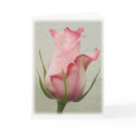This bud's for you! cards