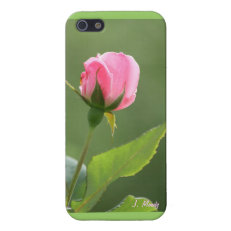 This Bud's For You! Cases For iPhone 5
