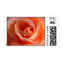THIS BUDS FOR YOU... postage by hunterseeker4 THIS BUDS FOR YOU... postage