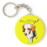 this dog typical longevity of Beagles named "cooki keychains