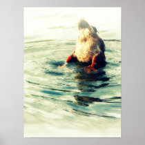 This End Up! Duck Butt Posters