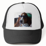 This hound dog is one kool kat trucker hats