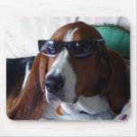 This hound dog is one kool kat mouse pads