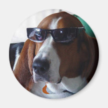 This hound dog is one kool kat refrigerator magnet