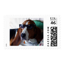 This hound dog is one kool kat stamps