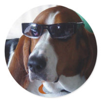 This hound dog is one kool kat round stickers