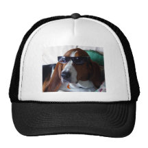 This hound dog is one kool kat trucker hats