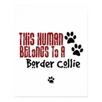 This Human Belongs to a Border Collie posters by doggonedesigns This Human Belongs to a Border Collie posters
