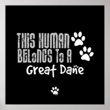 This Human Belongs to a Great Dane Poster