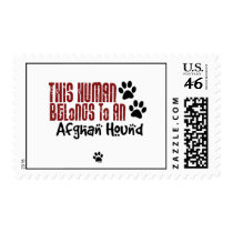 This Human Belongs to an Afghan Hound Postage Stamp