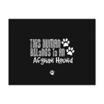 This Human Belongs to an Afghan Hound Postcard