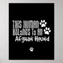 This Human Belongs to an Afghan Hound Print