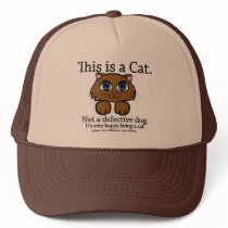 This is a Cat Hats