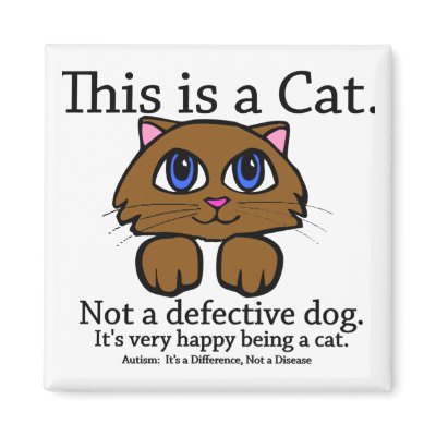 This is a Cat Magnets