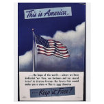 This Is America Keep It Free! Flyer Design