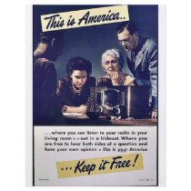 This Is America Keep It Free! flyers