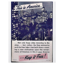 This Is America Keep It Free! flyers