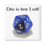 This Is How I Roll (d20) magnets