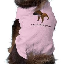 This is my boyfriend pet clothing by SLDogs This is my boyfriend pet clothing