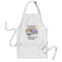 This is my brain...Bar Exam Aprons
