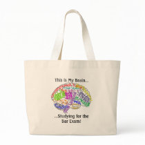 This is my brain...Bar Exam Canvas Bags