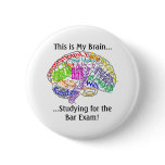 This is my brain...Bar Exam Buttons