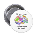 This is my brain...Bar Exam Buttons