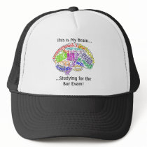 This is my brain...Bar Exam Hat