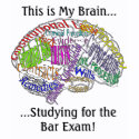 This is my brain...Bar Exam shirt