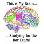 This is my brain...Bar Exam T Shirt