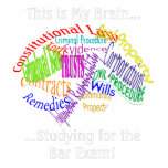 This is my brain...Bar Exam T-shirt